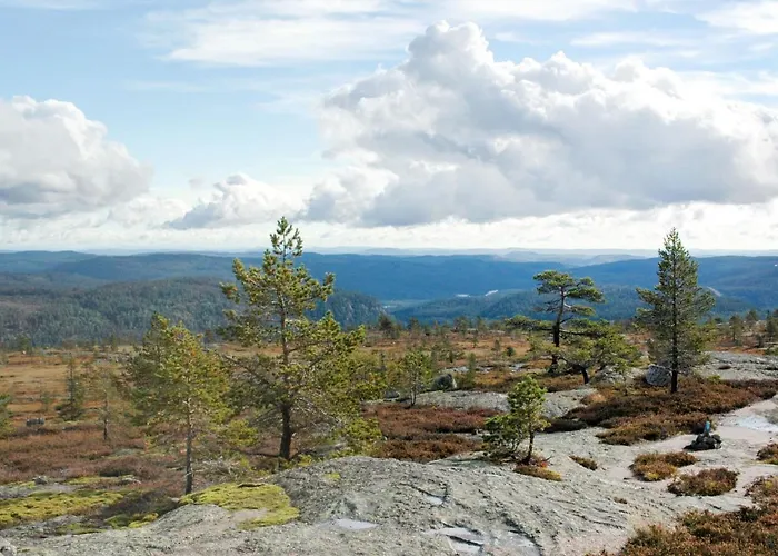 Skafjellstoga By Interhome Gjerstad (Aust-Agder, Gjerstad)